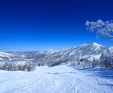 志賀高原スキー場からスノボ スキーツアー格安一括比較 スノボブ
